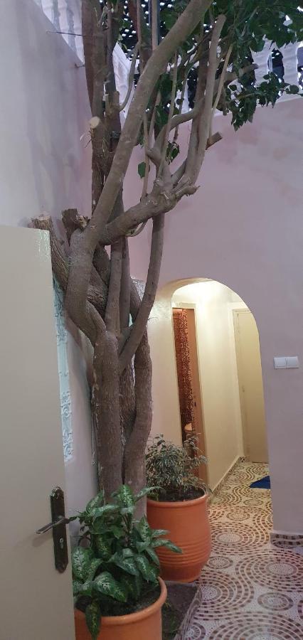 Surf Riad Taghazout Extérieur photo