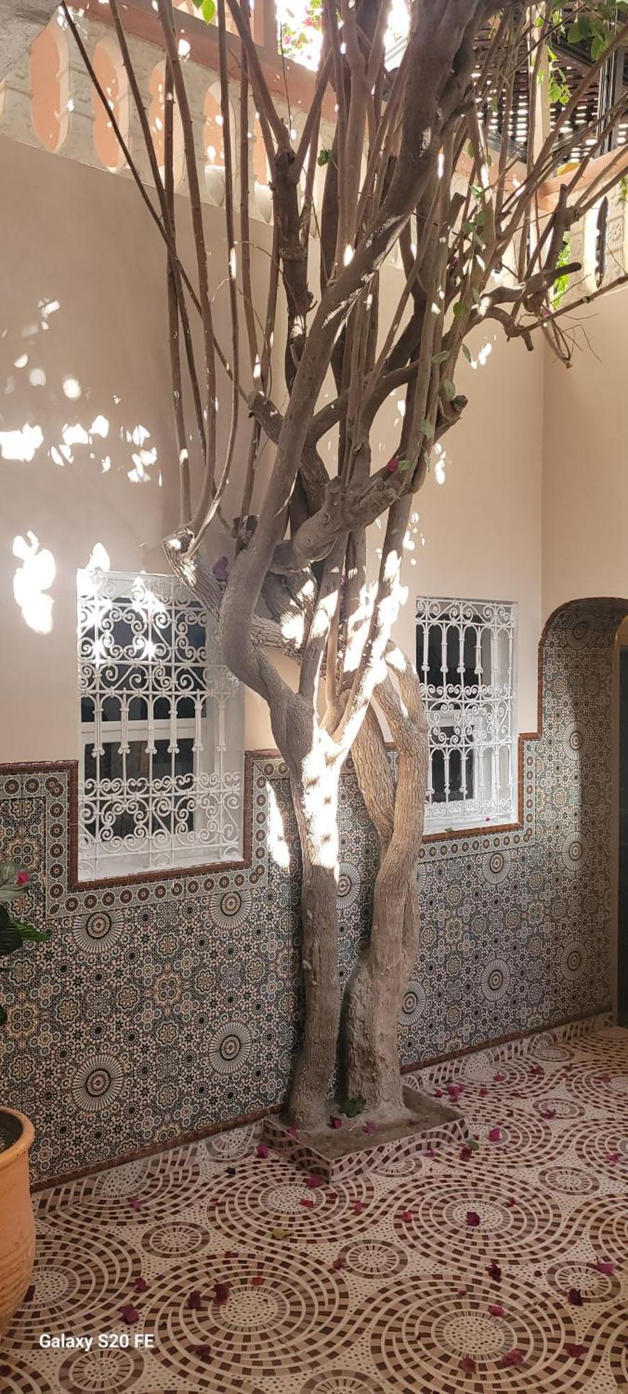 Surf Riad Taghazout Extérieur photo